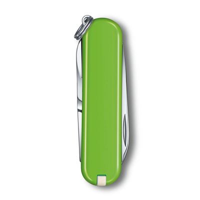 Scyzoryk CLASSIC SD 58 mm SMASHED AVOCADO