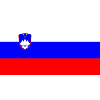 Flaga narodowa SŁOWACJA