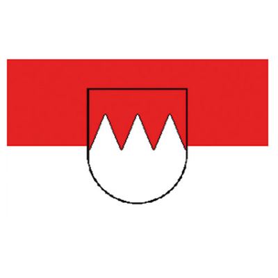 Flaga FRANKEN z emblematem