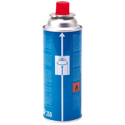 Wkład zaworu gazowego CP250 (220 G)