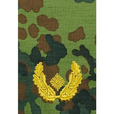 Bransoletka BW BRIGADEGENERAL FLECKTARN/złoty haft
