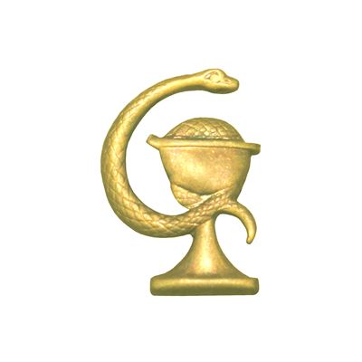 Odznaka rozróżniająca ČSLA/AČR ZDRAVOTNÍK złoto