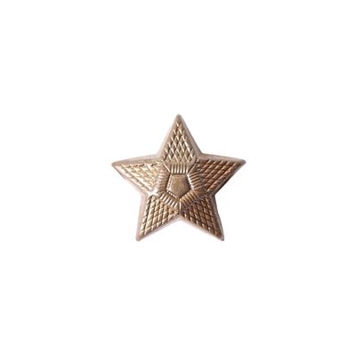 Odznaka Sił Zbrojnych Republiki Czeskiej z brązu, mała 16 mm
