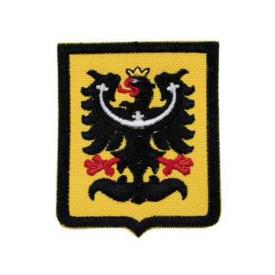 Naszywka ŚLĄSKA ORLICA w godle - KOLOR