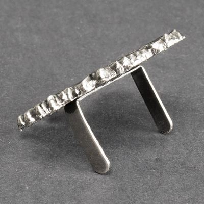 Odznaka CZESKI LEW NA STARONIKLU pin