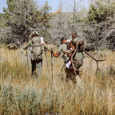 Plecak TEAM ELK V2 pack MOUNTAIN
