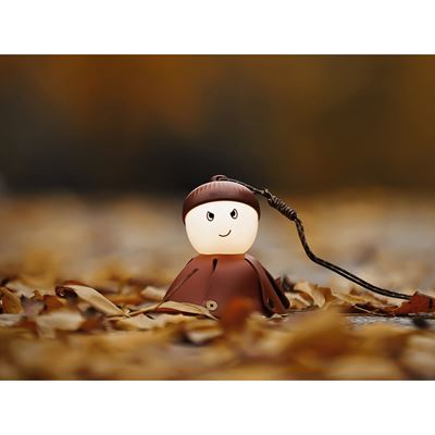 Latarka akumulatorowa ACORN LIGHT