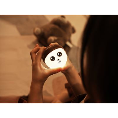 Latarka akumulatorowa ACORN LIGHT